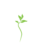 Cognitive Therapy New York